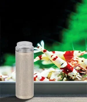 Acrylic Aquarium Feeder Tube Dish Transparent Fish Tank Shrimp Snail Shrimp Food Feeder Bowl Aquarium Feeding Accessories