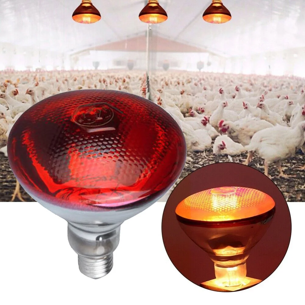 250w Infrared Heat Lamp Waterproof Anti-Explosion Thickened Light Bulbs For Piglet Chicken Duck Birds