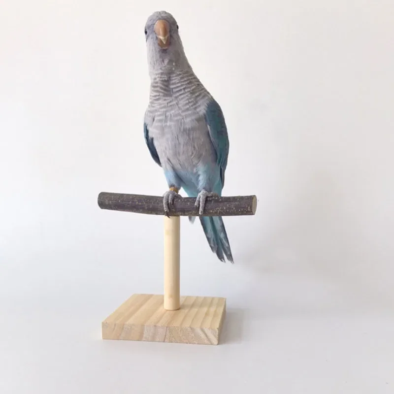Natural Desktop Stand Pet Parrot Raw Wood Fork Tree Branch Stand Rack Squirrel Bird Hamster Branch Perches Chew Bite Toys Stick