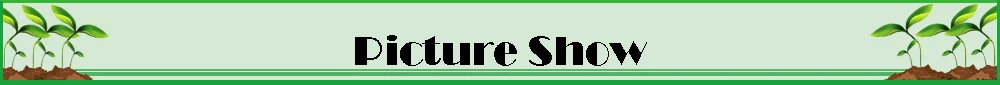 Stainless Steel Mesh Filter 4mm 6mm 8mm 10mm 12mm 14mm 16mm 20mm Barb Tail 1/2" BSP Garden Irrigation Aquarium