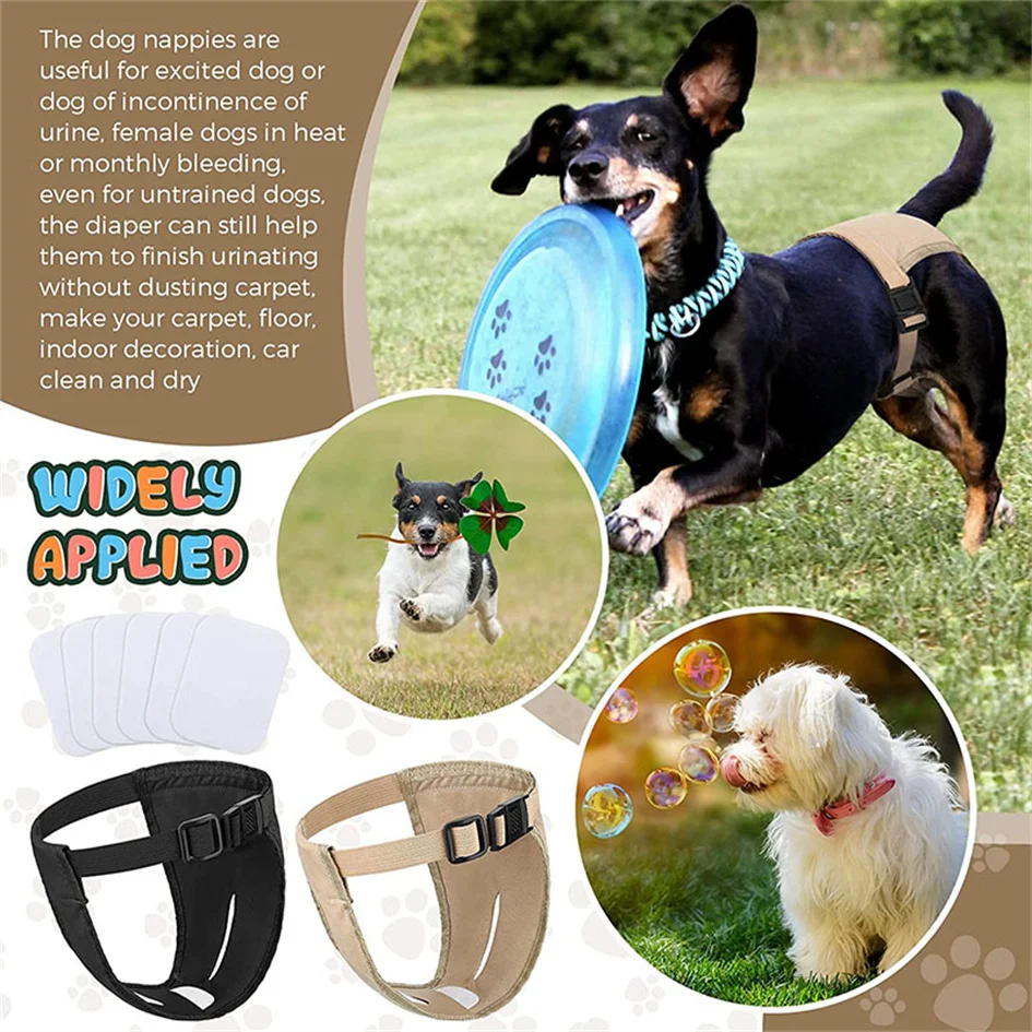 Female Dog Estrusing Nappies with 8 Sanitary Pad For in Bleeding Physiological Washable Nappies Anti Male Dogs Harass Pants