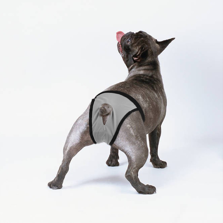 Female Dog Estrusing Nappies with 8 Sanitary Pad For in Bleeding Physiological Washable Nappies Anti Male Dogs Harass Pants