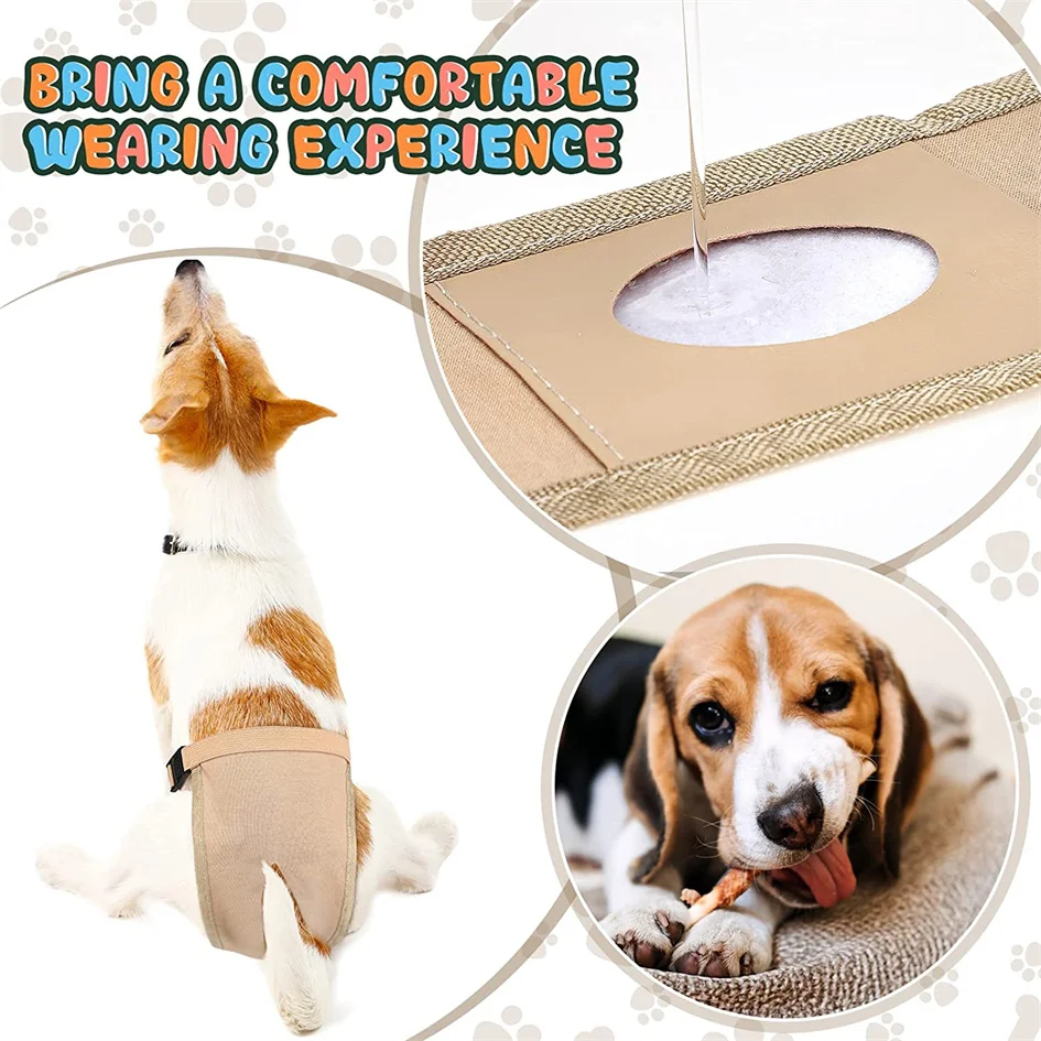 Female Dog Estrusing Nappies with 8 Sanitary Pad For in Bleeding Physiological Washable Nappies Anti Male Dogs Harass Pants
