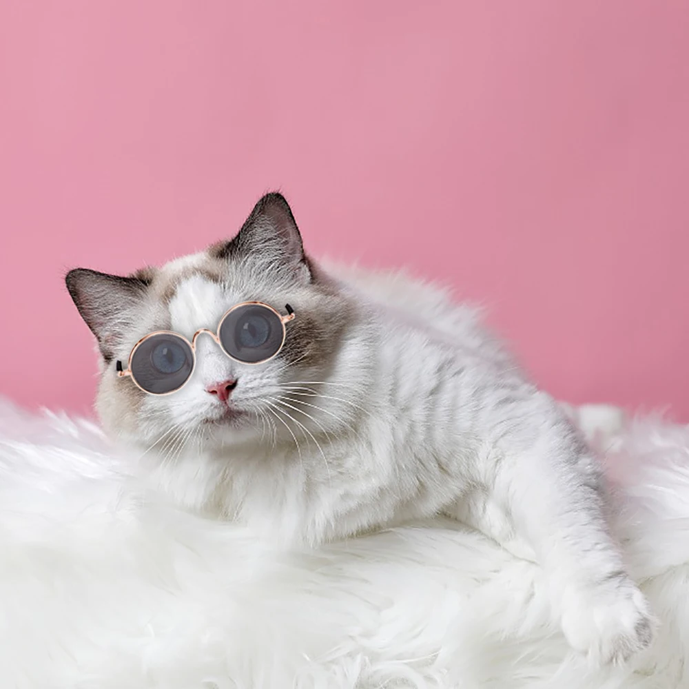 Dog Glasses Pet Vintage Round Glasses Cat Accessories Puppy Photos Props Decorations for Dogs Reflection Eyewear Glasses
