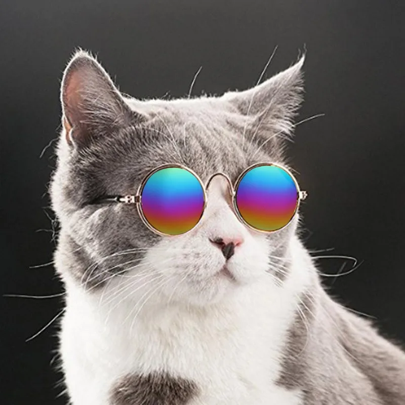 Dog Glasses Pet Vintage Round Glasses Cat Accessories Puppy Photos Props Decorations for Dogs Reflection Eyewear Glasses