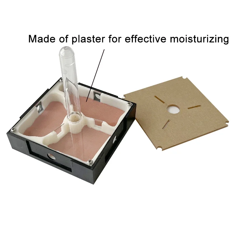 Unlimited Expansion Ant Farm Acrylic Ant Nest with Feeding Area Gypsum Pet Anthill Workshop Ant House Moisturizing Water Tower