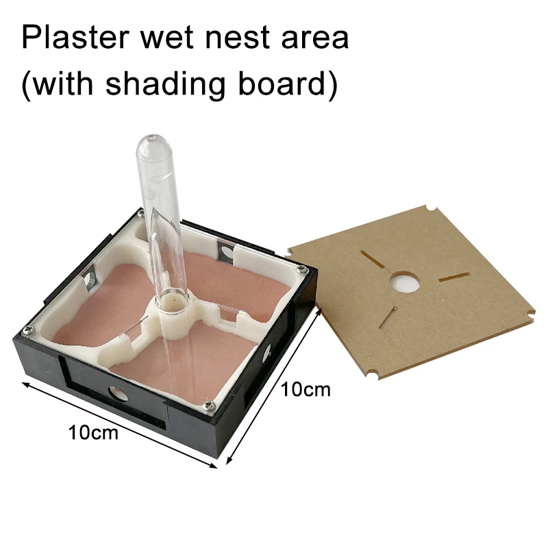 Unlimited Expansion Ant Farm Acrylic Ant Nest with Feeding Area Gypsum Pet Anthill Workshop Ant House Moisturizing Water Tower