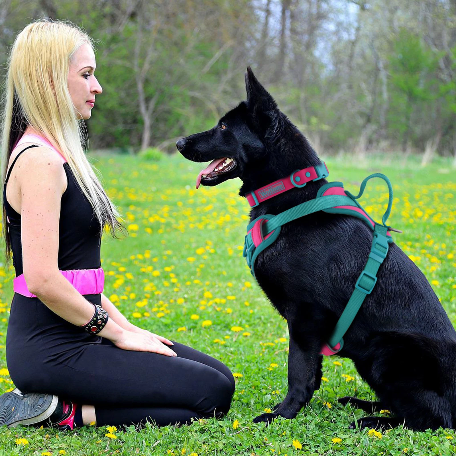 Splicing Colors Breathable for Medium No Pull Dog Harness for Large Small Dogs Adjustable Chest Strap Dog Harness Personalized