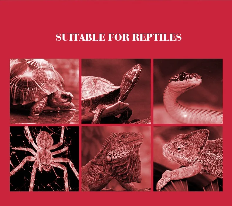 Reptile Heat Lamp Bulb Infrared Basking Spot Lamp 110V/220V Amphibian Snake Lamp Heat Reptile Bulbs 25W 50W 100W Luz Terrario