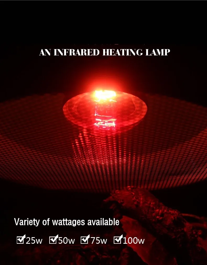 Reptile Heat Lamp Bulb Infrared Basking Spot Lamp 110V/220V Amphibian Snake Lamp Heat Reptile Bulbs 25W 50W 100W Luz Terrario