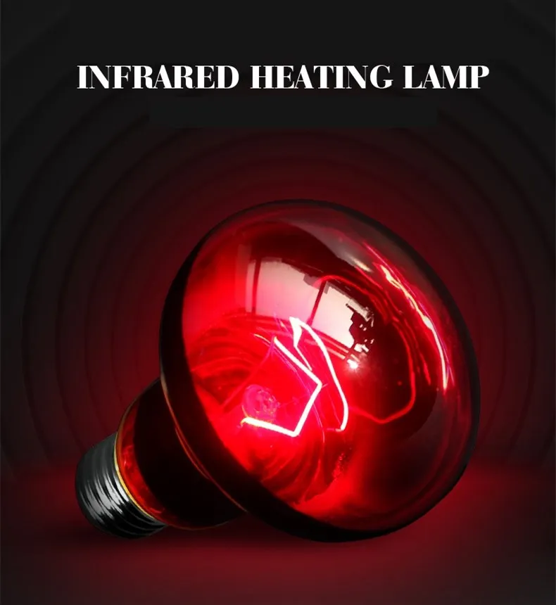 Reptile Heat Lamp Bulb Infrared Basking Spot Lamp 110V/220V Amphibian Snake Lamp Heat Reptile Bulbs 25W 50W 100W Luz Terrario