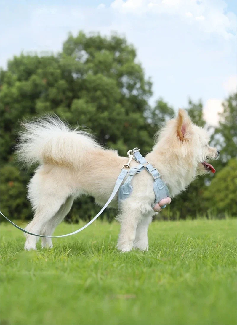 Pet Vest Traction Rope Dog Cartoon Three-Dimensional Accessories Teddy Walking Dog Rope Cat Going Out Chest and Back Protection