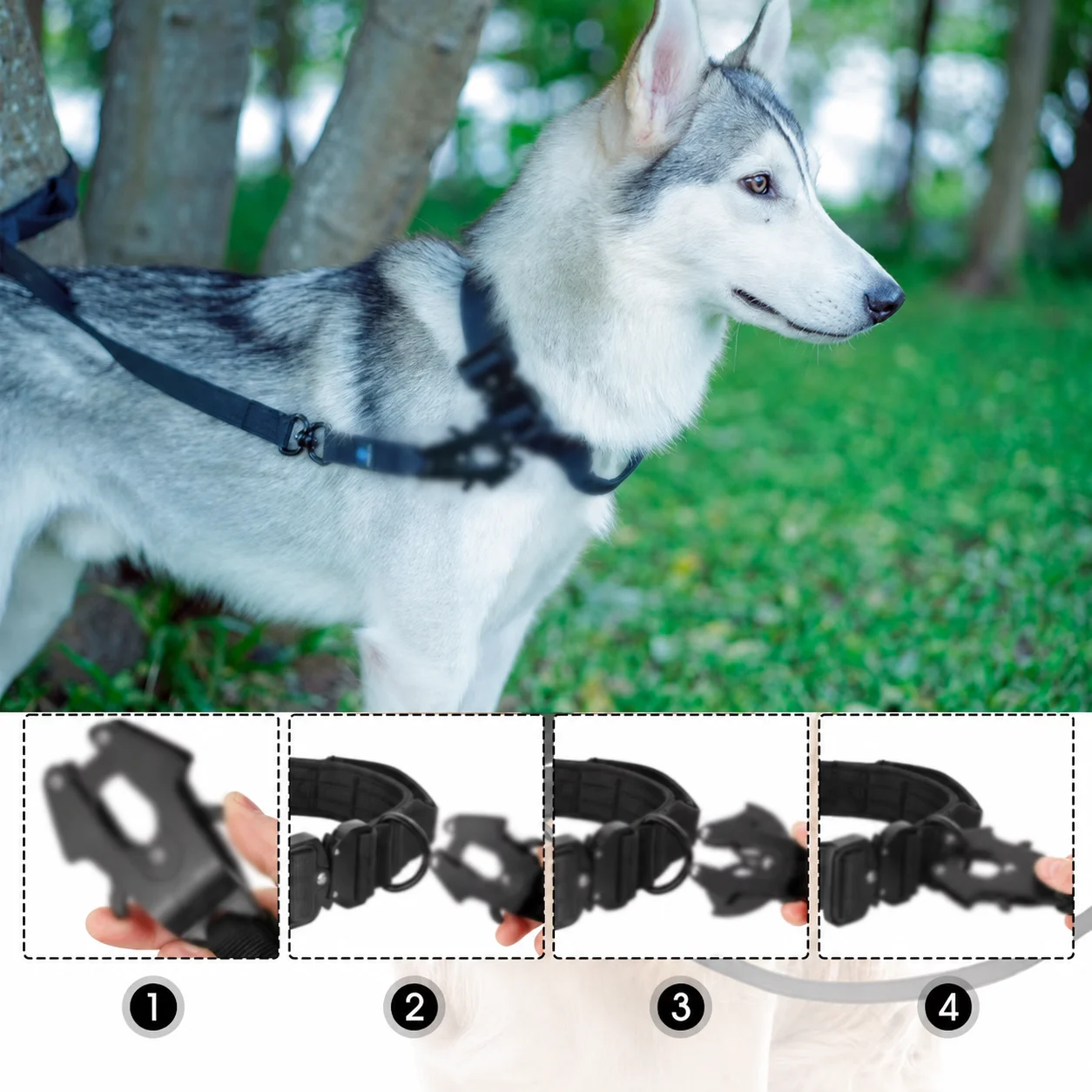 Pet Collar, Dog Neck Leash, Nylon Traffic Lead, Large Dog, Military Leash, Short Walking Rope, Metal Buckle, Puppy Accessories