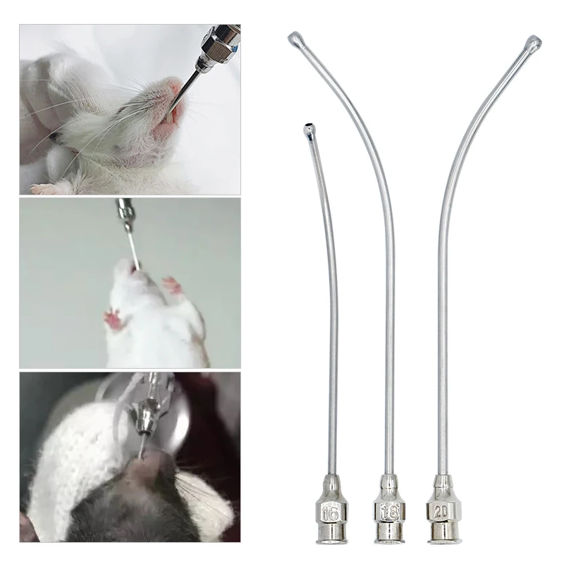 1Pcs Stainless Steel Birds Feeding Syringe Tube Nozzle Feeding Tools Rats Mice/Parrots/Birds/Poultry/Pets Elbow Gavage Needles