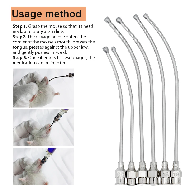 1Pcs Stainless Steel Birds Feeding Syringe Tube Nozzle Feeding Tools Rats Mice/Parrots/Birds/Poultry/Pets Elbow Gavage Needles
