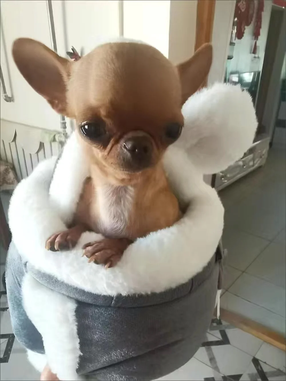 Outdoor Travel Chihuahua Puppy Dog Carrier Bacpack Winter Warm Pet Carrying Bags for Small Dogs Yorkshire Cat Nest Mascotas Home