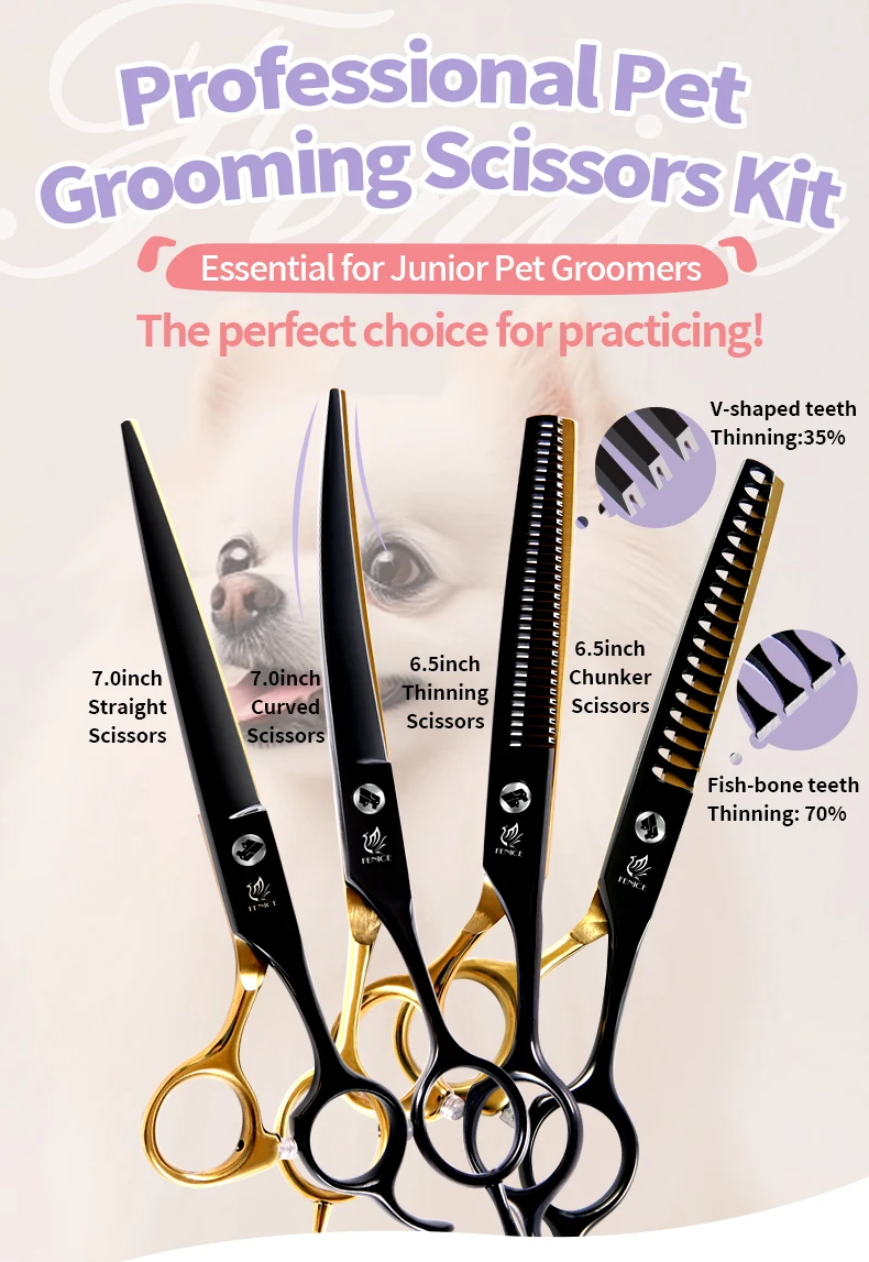 Fenice Professional Black and Gold Two-Color Pet Dogs Grooming Scissors Set for Small Dogs Straight Curved Thinning Shears