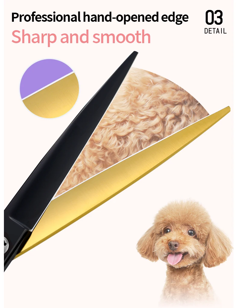 Fenice Professional Black and Gold Two-Color Pet Dogs Grooming Scissors Set for Small Dogs Straight Curved Thinning Shears