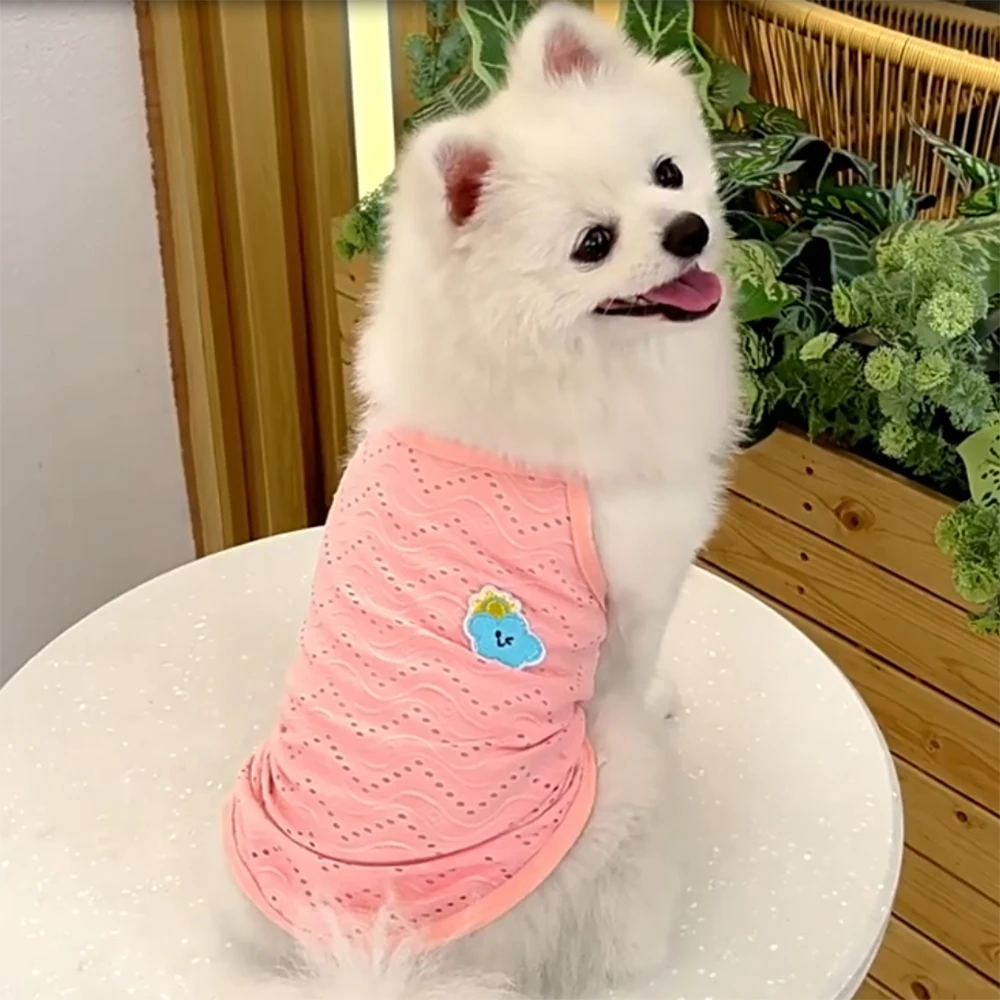 Summer Puppy Dog Cat Camisole Vest Cute Mesh Pet Clothes for Small Dogs Poodle Maltese Shirts Mascotas Apparels Ropa Para Perros