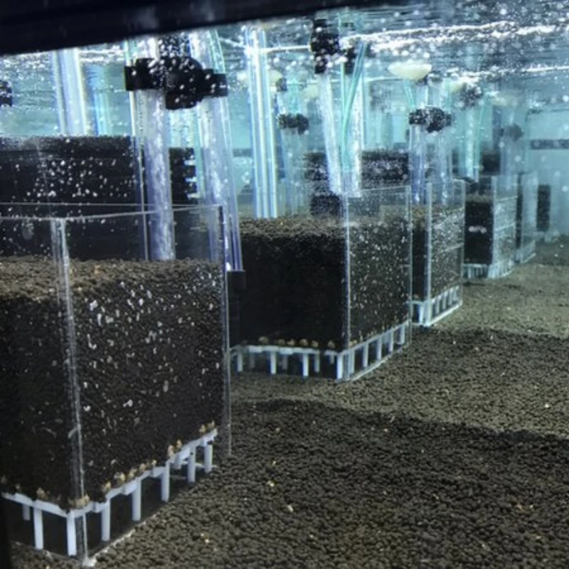 Transparent Acrylic Shrimp Fish Tank Filter System Aquarium Square UGF Box Under Gravel Filter Box, Water Grass Breeding Box