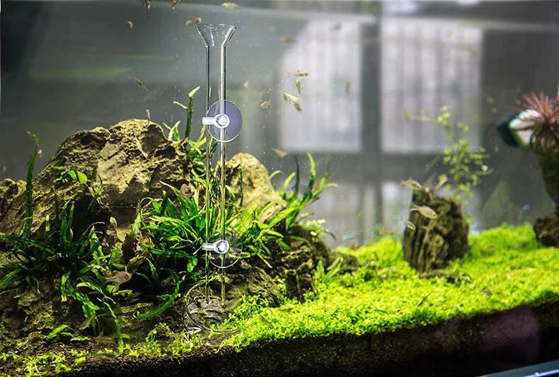 Aquarium Feeding Tube Dish Clear Glass Fish Tank Shrimp Snail Food Feeder Bowl Aquarium Feeding Tool Accessories