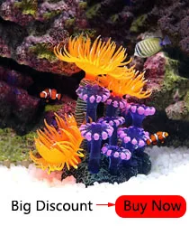 Sponge Aquarium Filter for Aquarium Fish Tank Air Pump Skimmer Biochemical Sponge Filter Aquarium Bio Filter Filtro Aquario 1pcs