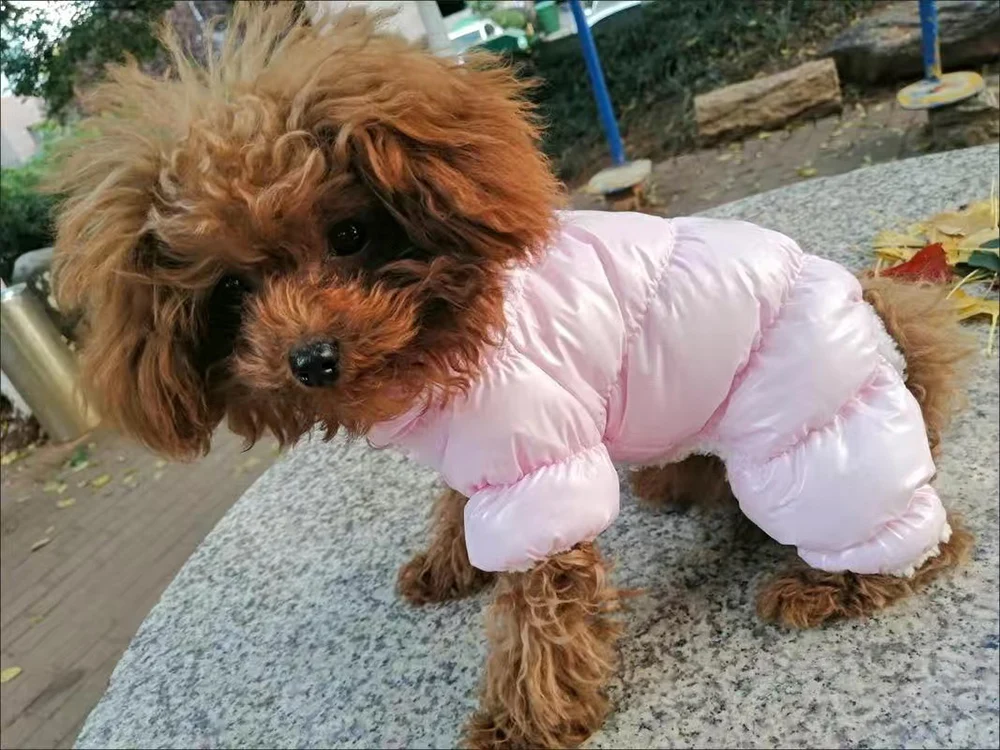 Waterproof Pet Jumpsuits Winter Fleece Dog Clothes Coat with D-ring for Small Dogs Yorkshire Bichon Puppy Clothing Ropa Perro