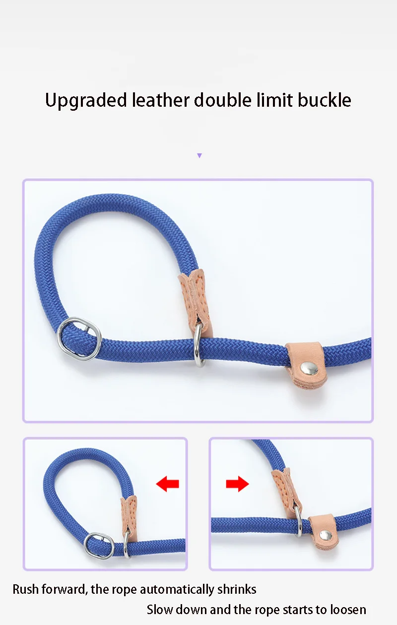 Dog Leash Slip Rope Lead Leash Heavy Duty Braided Rope Adjustable Loop Collar Training Leashes for Small Medium Dogs