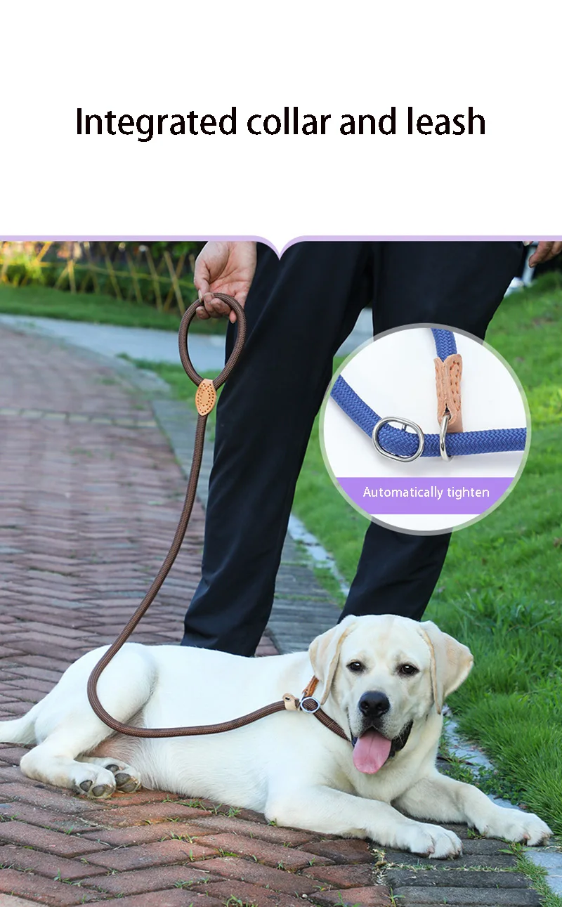 Dog Leash Slip Rope Lead Leash Heavy Duty Braided Rope Adjustable Loop Collar Training Leashes for Small Medium Dogs