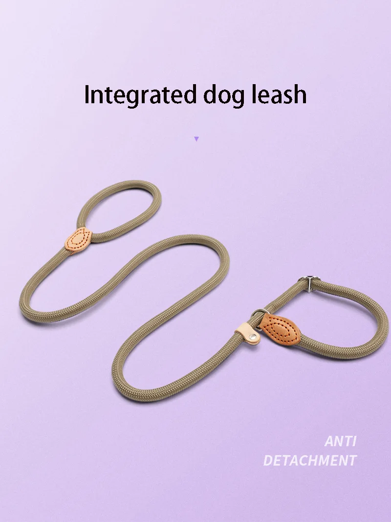 Dog Leash Slip Rope Lead Leash Heavy Duty Braided Rope Adjustable Loop Collar Training Leashes for Small Medium Dogs