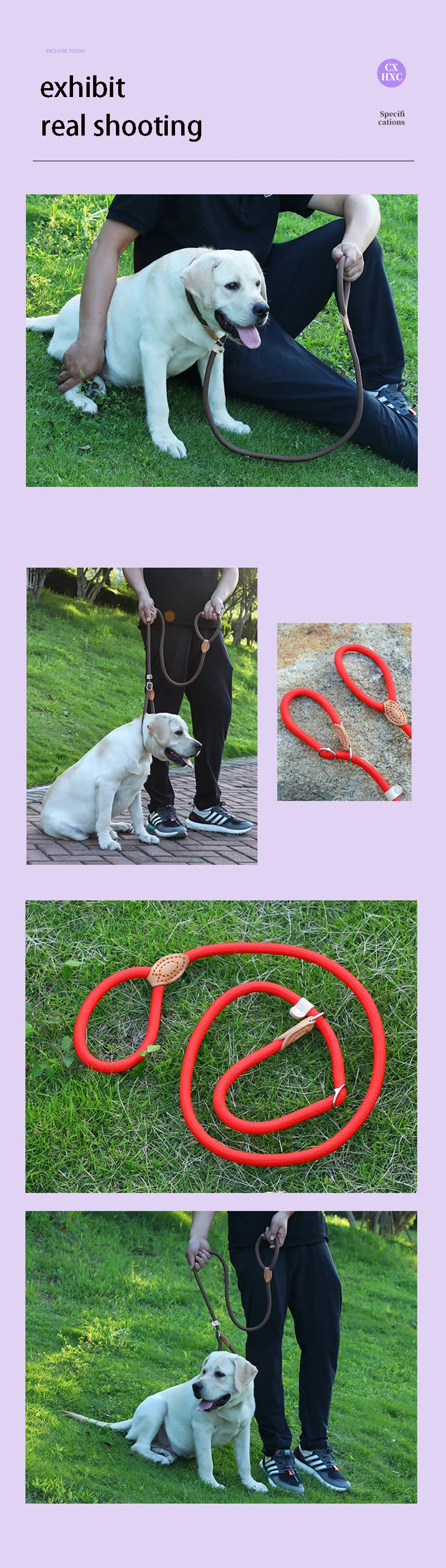 Dog Leash Slip Rope Lead Leash Heavy Duty Braided Rope Adjustable Loop Collar Training Leashes for Small Medium Dogs