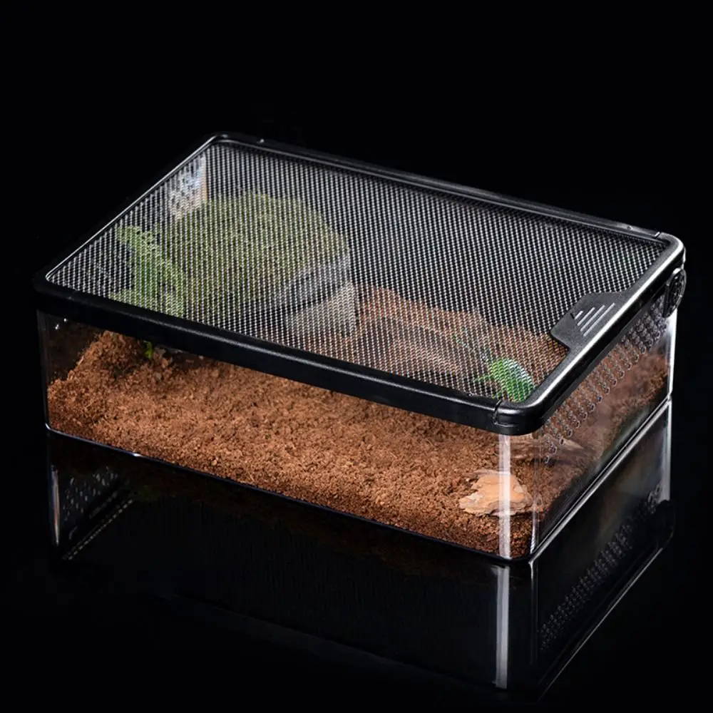 Reptile Breeding Box Acrylic Spider Lizard Amphibian Terrarium Leak-proof Pet Habitat Animal Accessories