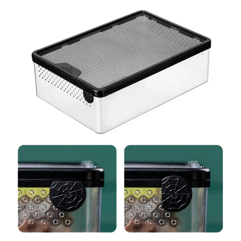 Reptile Breeding Box Acrylic Spider Lizard Amphibian Terrarium Leak-proof Pet Habitat Animal Accessories