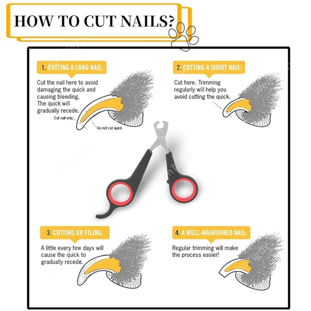 Pet Nail Claw Grooming Scissors Clippers for Dog Cat Gerbil Small Animals Newest Rabbit Home Portable Pet Products Accessories