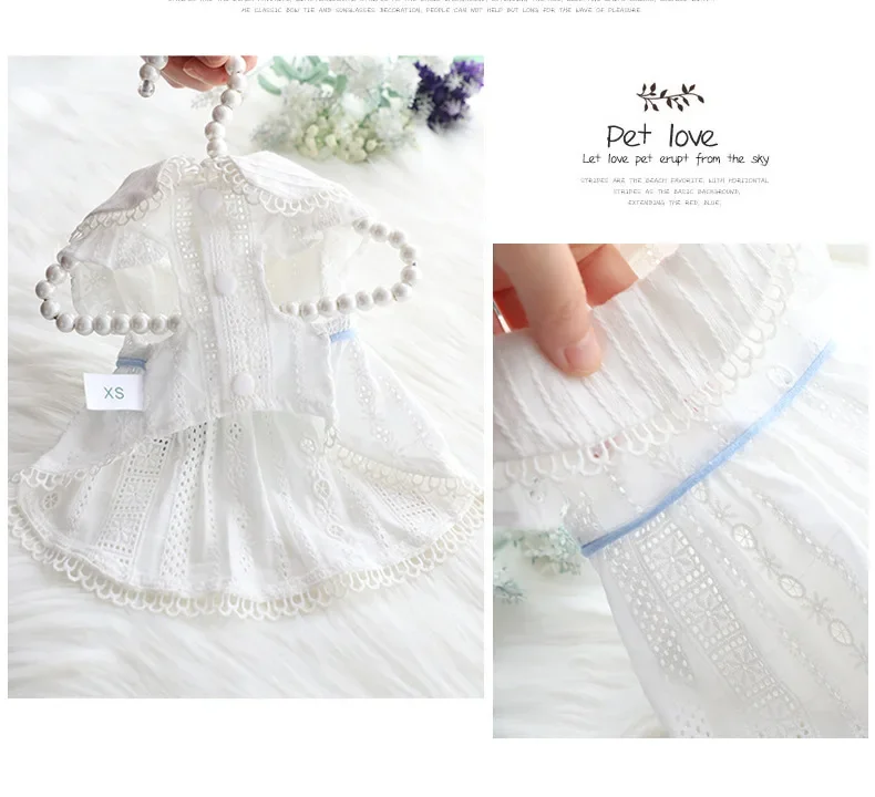 Dog Clothes Spring and Summer Thin Skirt Lolita Princess Mint Butterfly Cat Pet