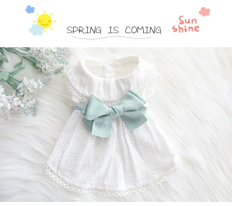Dog Clothes Spring and Summer Thin Skirt Lolita Princess Mint Butterfly Cat Pet