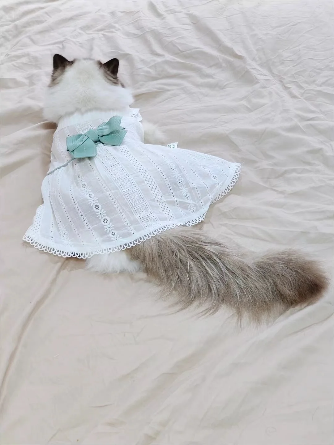 Dog Clothes Spring and Summer Thin Skirt Lolita Princess Mint Butterfly Cat Pet