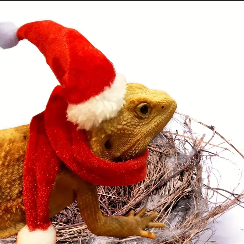 2pcs Bearded Dragon Hat And Scarf, Lizard Christmas Hat Scarf Set, Small Animal Christmas Festival Costume (Xmas)