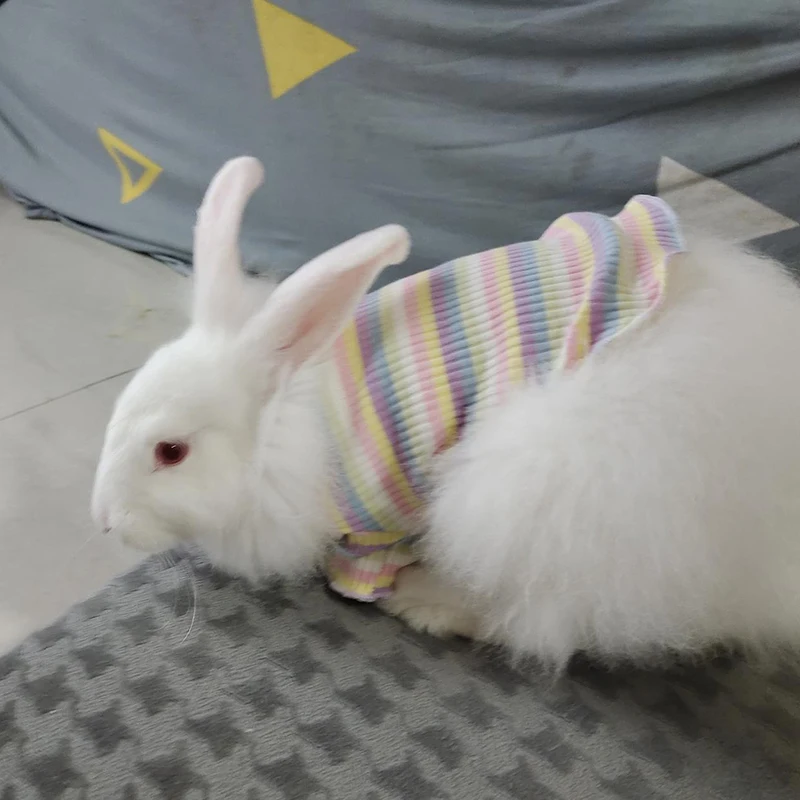 Cotton 100% Cat Dog Vest Summer Pet Clothes Stripe Pullovers for Small Dogs Cats Chihuahua Pomeranian Puppy Ropa Para Perros