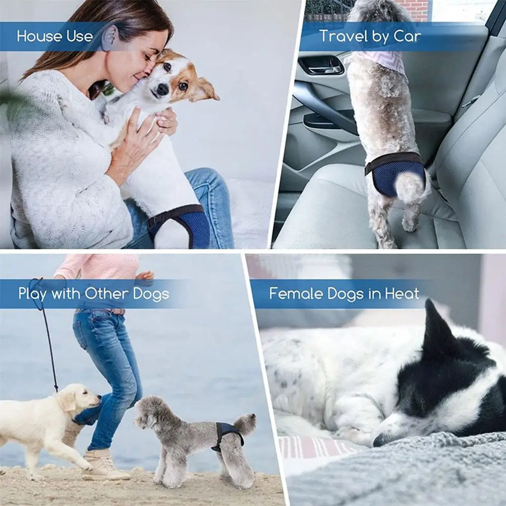 Sanitary Wraps Menstruation Diapers Dog Panties Breathable Mesh with 3 Replace Diaper Washable Pet Reusable Diapers