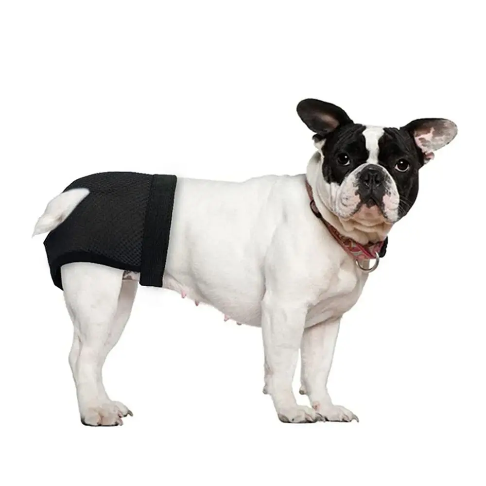 Sanitary Wraps Menstruation Diapers Dog Panties Breathable Mesh with 3 Replace Diaper Washable Pet Reusable Diapers