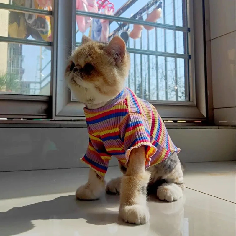 Colorful Stripe Sphynx Cat Vest Shirt for Small Cats Katten Kedi Cotton Puppy Dog Pet Clothes Mascotas Clothing Ropa Para Gatos