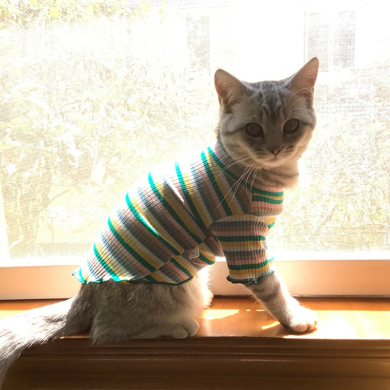 Colorful Stripe Sphynx Cat Vest Shirt for Small Cats Katten Kedi Cotton Puppy Dog Pet Clothes Mascotas Clothing Ropa Para Gatos