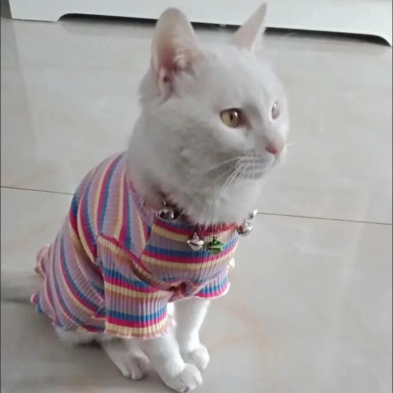 Colorful Stripe Sphynx Cat Vest Shirt for Small Cats Katten Kedi Cotton Puppy Dog Pet Clothes Mascotas Clothing Ropa Para Gatos