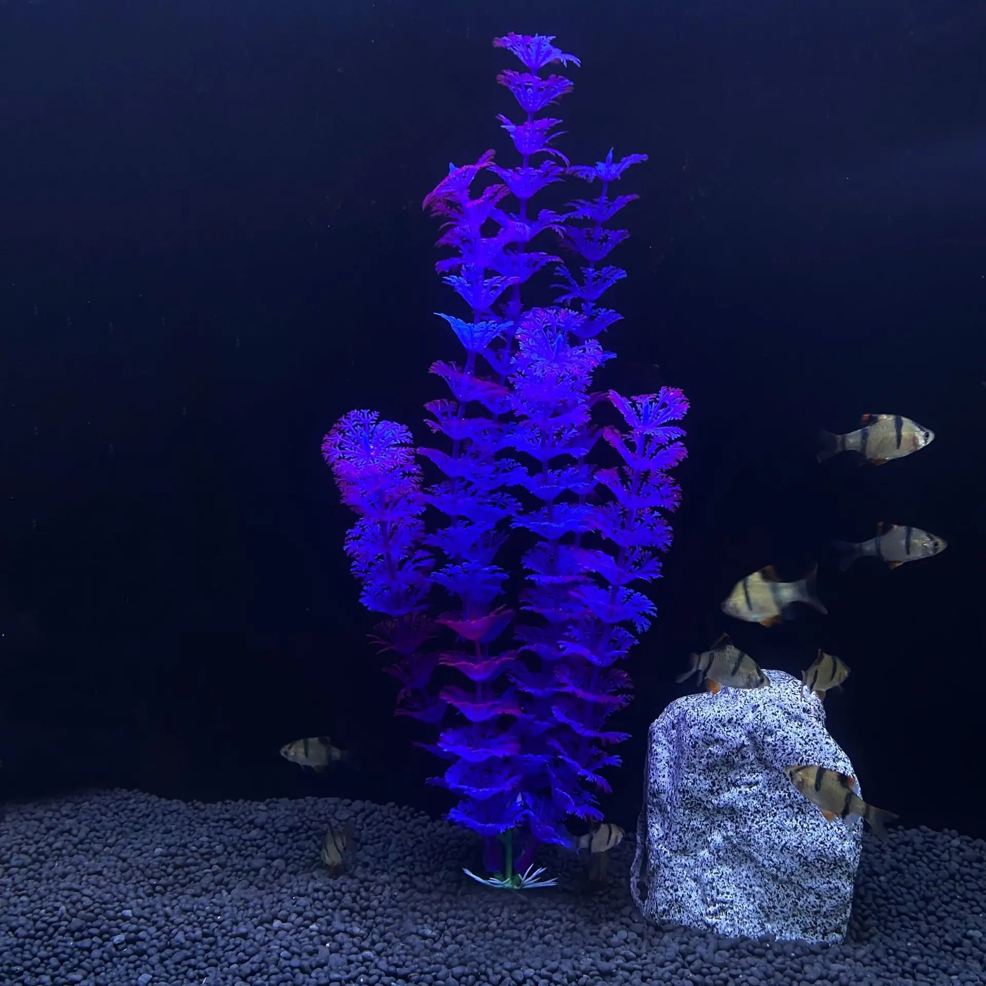 30cm High Aquarium Simulated Water Plants Fish Tank Landscaping Plastic Water Plants Micro Landscape Decoration
