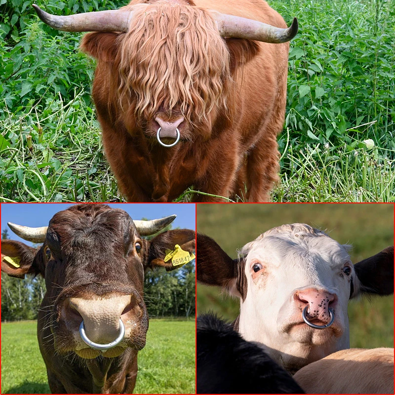 1Pcs Metal Cattle Nose Rings Bull Ox Cow Bovine Traction Clamp 9/10cm Farm Animal Livestock Nose Clips Farm Animal Supplies