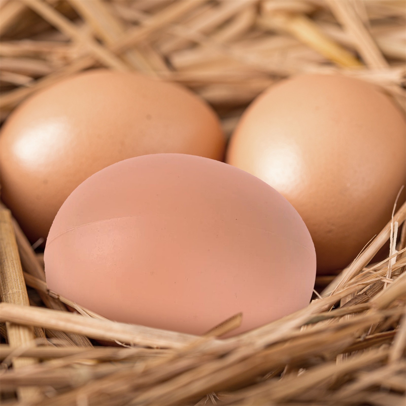 6/12Pcs Plastic Eggs Chicken House Small Fake Eggs Farm Animal Supplies Cages Accessories Guide Chicken Nest Egg Painting