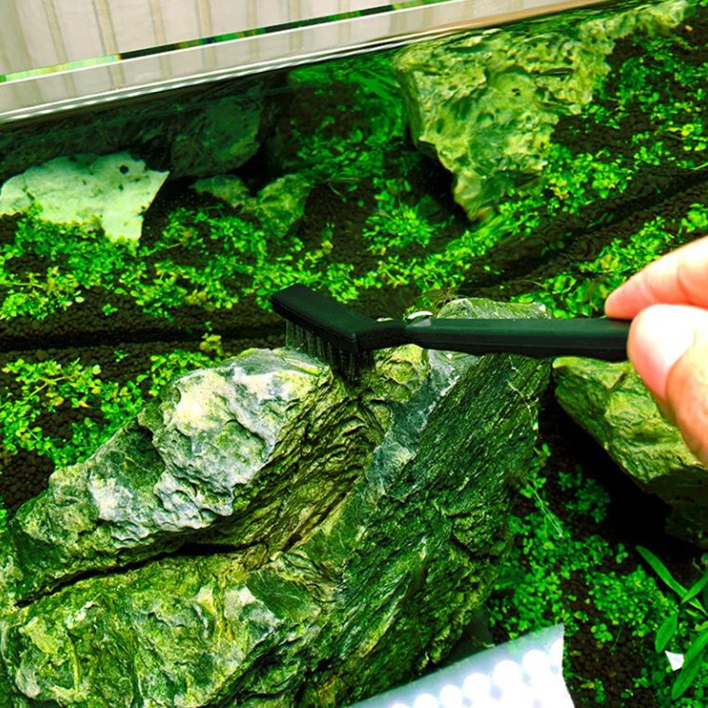 13cm Steel Wire Brush Aquarium Algae Cleaning Brush Nylon Brush Aquarium Cleaner Fish Tank Stain Cleaning Tools Accessories 3pcs