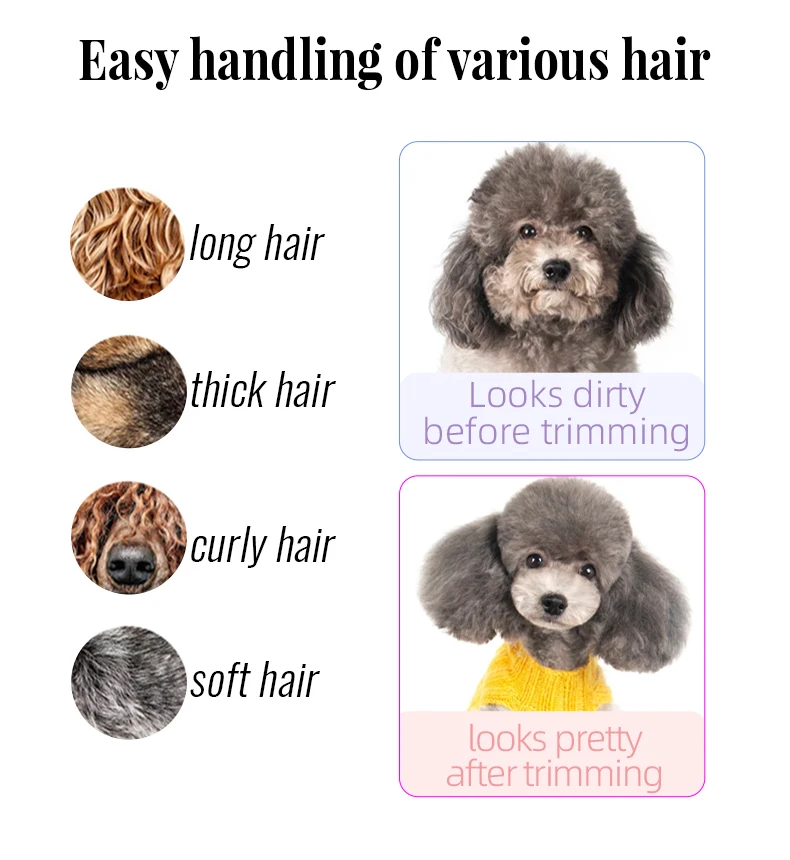 Fenice 6.5 Inch Professional Dog Grooming Scissors Set Kits Straight&Thinner&Curved Grooming Shears Tool Set Tesoura Wmark