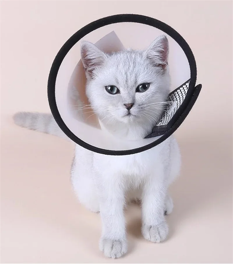 Pet Protective Collar Dog Neck Cone Recovery Hood For Anti-Bite Lick Surgery Wound Healing Cat Health Medical Circle Water Proof